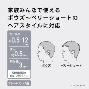 Panasonic(パナソニック) ファミリー...の詳細画像2