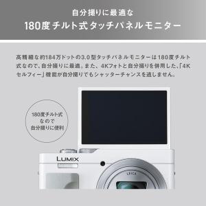 Panasonic(パナソニック) 高倍率ズー...の詳細画像4