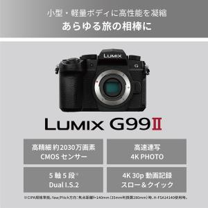 Panasonic(パナソニック) ミラーレス...の詳細画像1