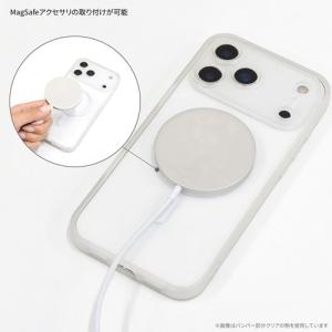 グルマンディーズ ピーナッツ スヌーピー II...の詳細画像1