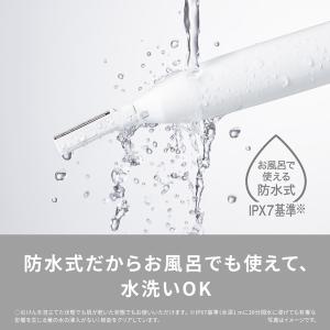 Panasonic(パナソニック) ボディフェ...の詳細画像3