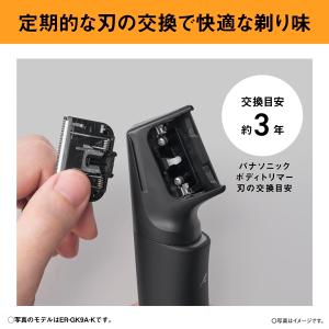 Panasonic(パナソニック) ラムダッシ...の詳細画像2
