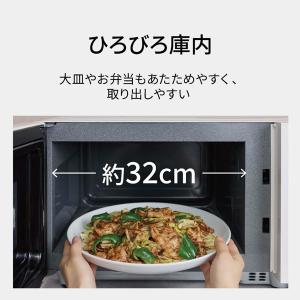 Panasonic(パナソニック) 単機能レン...の詳細画像1