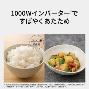 Panasonic(パナソニック) 単機能レン...の詳細画像3