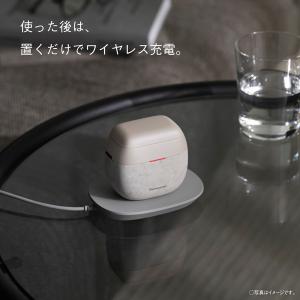 Panasonic(パナソニック) ラムダッシ...の詳細画像3