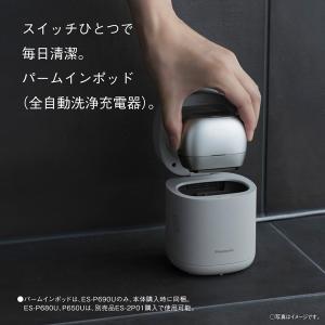 Panasonic(パナソニック) パームイン...の詳細画像2