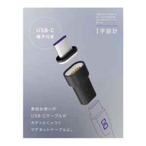CIO USB-C マグネット変換アダプタ I...の詳細画像2