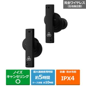 FINAL 完全ワイヤレスヘッドホン　ZE8000 FI-ZE8DPLTWBK 