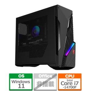 MSI（エムエスアイ） デスクトップパソコン PRO DP80 A14G-065JP PRO