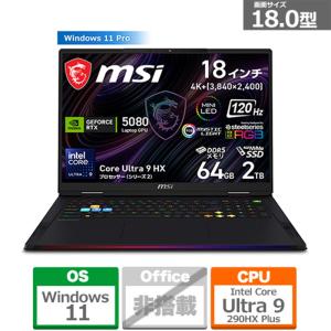 dynabook（ダイナブック） 13.3型モバイルパソコン dynabook GS5