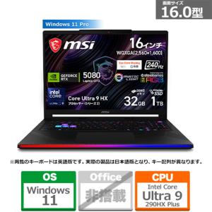 MSI（エムエスアイ） 16型ゲーミングノートパソコン　Raider 16 Max HX B2W RAIDER16MHXB2WI-2660JP