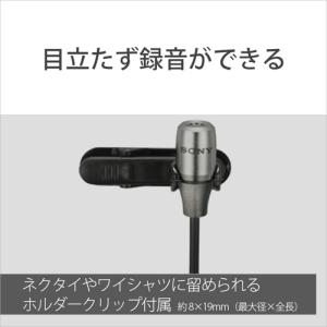 SONY(ソニー) PC用マイク ECM-PC60の詳細画像3