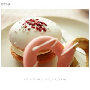 SONY(ソニー) 交換用レンズ ソニーEマウ...の詳細画像1