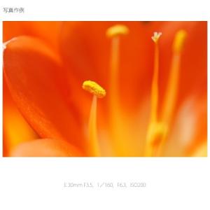 SONY(ソニー) 交換用レンズ ソニーEマウ...の詳細画像2