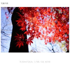 SONY(ソニー) 交換用レンズ ソニーEマウ...の詳細画像1