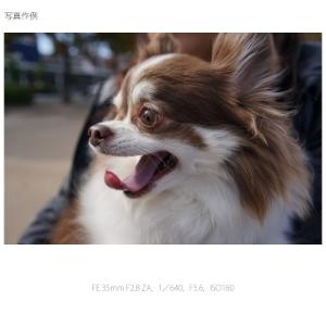 SONY(ソニー) 交換用レンズ ソニーEマウ...の詳細画像2