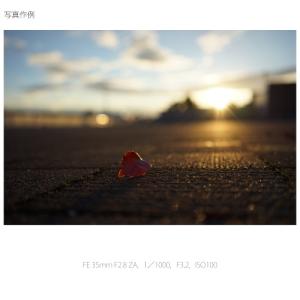 SONY(ソニー) 交換用レンズ ソニーEマウ...の詳細画像3