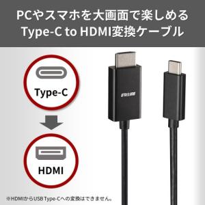 バッファロー(Buffalo) Type-C ...の詳細画像1