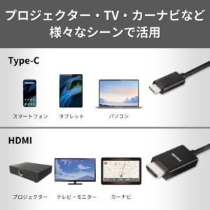 バッファロー(Buffalo) Type-C ...の詳細画像4