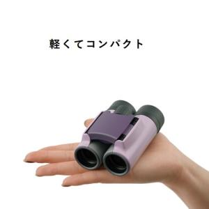 Vixen(ビクセン) 双眼鏡 アリーナ H+...の詳細画像4