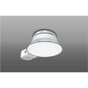 瀧住電機工業 照明器具 TGS20004D 全光束：650ルーメン
