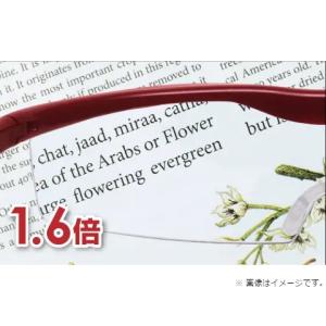 ハズキカンパニー ハズキルーペ ハズキラージ ...の詳細画像4