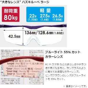 ハズキカンパニー ハズキルーペ ハズキラージ ...の詳細画像1