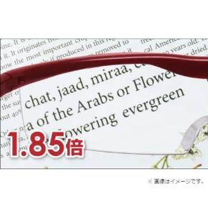 ハズキカンパニー ハズキルーペ ハズキラージ ...の詳細画像4