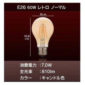 アイリスオーヤマ LEDフィラメント電球 レト...の詳細画像1