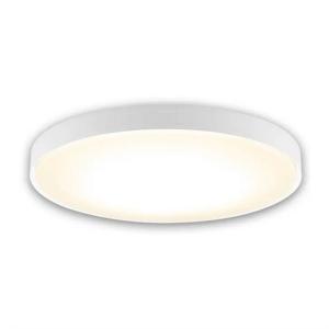 アイリスオーヤマ LEDライト CEK8DL-7.0の買取情報