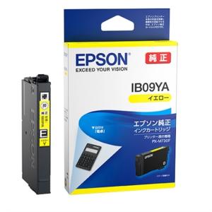 エプソン（EPSON） 純正インクカートリッジ IB09CB : ケーズデンキ