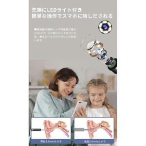 MAXEVIS スマート耳かき QE-1 IO...の詳細画像3