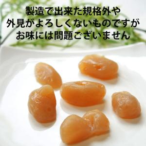 訳あり 味付け こんにゃく 200g お試し ...の詳細画像2