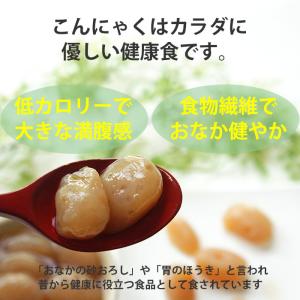 訳あり 味付け こんにゃく 200g お試し ...の詳細画像3