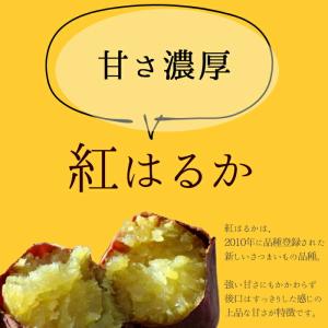 干し芋 茨城 国産 べにはるか ほしいも100...の詳細画像3