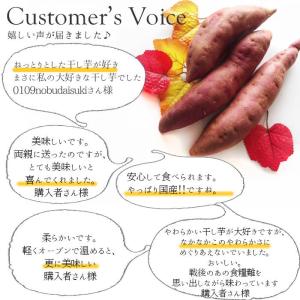 干し芋 茨城 国産 べにはるか ほしいも100...の詳細画像4