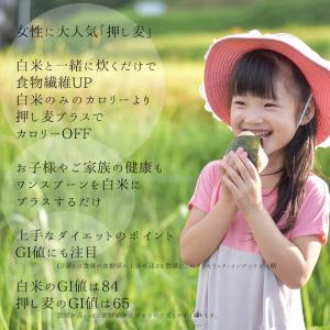 国産 押し麦 500g×3袋 通販 1.5kg...の詳細画像5