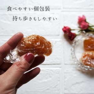 蜜りんご 150g×2袋 セミドライフルーツ ...の詳細画像2