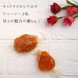 蜜りんご 150g×2袋 セミドライフルーツ ...の詳細画像4