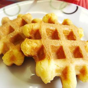 ガレット 焼き菓子 トラピスト ガレット箱 2個入×12袋 ギフト プレゼント スイーツ クッキー ...