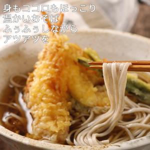 常陸秋そば 400g 乾蕎麦 年越し ソバ 人...の詳細画像3