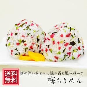 梅ちりめん×10袋 おにぎり お弁当 混ぜごはん おむすび なまため ふりかけ 小袋 ウメ お試し お取り寄せ お試し 食品 ホワイトデー｜ksfoods