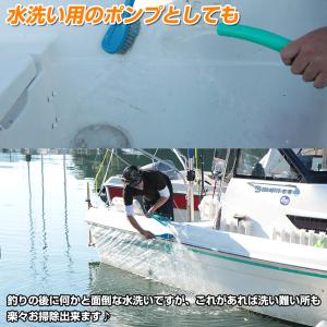 水中ポンプ 12v イケス水抜き 小型水中ポン...の詳細画像2