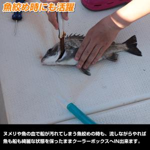 水中ポンプ 12v イケス水抜き 小型水中ポン...の詳細画像3