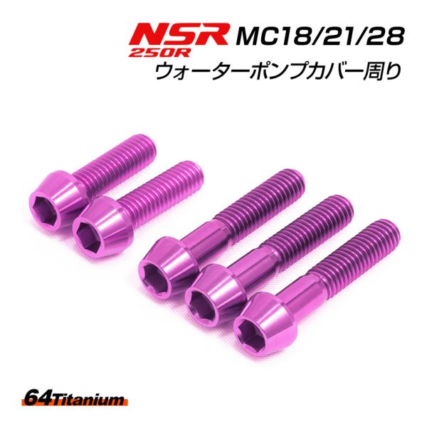 NSR250R ウォーターポンプカバー ディストリビューターパイプ チタンボルト 5本セット パープ...