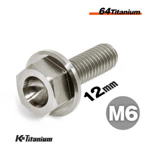 チタンボルト M6×12 P1.0 チタン無垢色 1本売り 64チタン フランジボルト スレッド FULL(全ネジ) バイク レストア パーツ