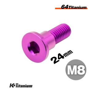 アポロフィールダー　大　チタン Ninja ZX-25R 64チタン ブレーキディスクローターボルト