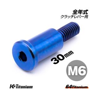 チタンボルト M6×30 P1.0 ブルー 1本 ピポットボルト スレッド 14mm ホンダ NSR250 ハンドル クラッチ レバー ボルト バイク レストア｜K’sガレージ