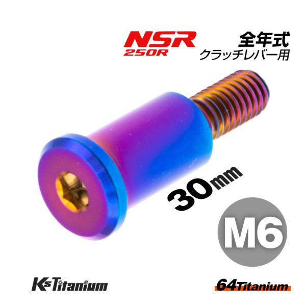 チタンボルト M6×30 P1.0 焼き色 1本 ピポットボルト スレッド 14mm ホンダ NSR...