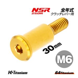 チタンボルト M6×30 P1.0 ゴールド 1本 ピポットボルト スレッド 14mm ホンダ NSR250 ハンドル クラッチ レバー ボルト バイク レストア｜ksgarage